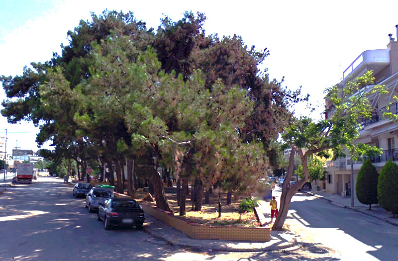 Άλσος Παπαναστασίου & Πατριάρχου Κυρίλλου (Ιούλιος 2013 - Google Street View)